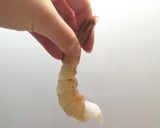 Foto del passaggio 7 della ricetta Ebi Fry Light - Gamberi fritti giapponesi fatti al forno