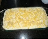 A picture of step 4 of Mainly sauce lasagna 🤣.