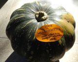 Sütőtökkrémleves! Fűszeres! VEGÁN! recept fázis 1 fotója