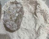 Foto langkah ke 5 dari resep Tahu Aci Krispi!.