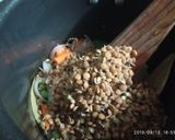 A picture of step 4 of Masoor veg pulao.