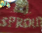 Sprouts recipe step 3 photo