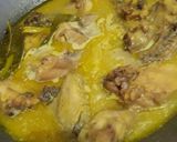 Foto langkah ke 2 dari resep Opor ayam fibercream.