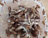 Foto langkah ke 1 dari resep Kurma Coklat isi Almond.