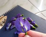 Foto langkah ke 1 dari resep Jeruk Peras ekstrak Bunga telang.