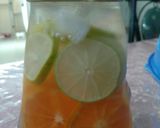 Foto langkah ke 2 dari resep Aneka infuse water.
