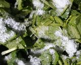 A picture of step 3 of Sarson ka saag.