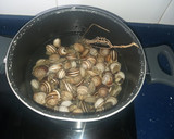 Foto del paso 2 de la receta: Caracoles en salsa