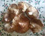 Foto del paso 1 de la receta Tallarines con níscalos