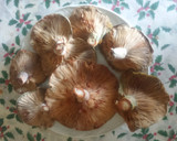 Foto del paso 1 de la receta: Tallarines con níscalos