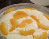 A picture of step 3 of Manjar de Coco com Pessego.