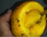 குல்ஃபி மாம்பழம் ரெசிபி ஸ்டேப் 5 புகைப்படம்