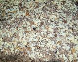 A picture of step 9 of Khajoor or Sooji ka Halwa.
