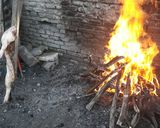 Foto del paso 2 de la receta: Lechón al asador