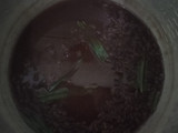 Isian Kacang Merah (red bean paste)