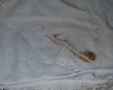 A picture of step 5 of Spicy Chicken Shawarma.