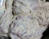 A picture of step 1 of Creamy chicken drumsticks.
