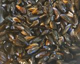 Une image de l'étape 2 de Moules roquefort.