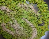 A picture of step 6 of Peas parantha.