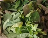 Foto langkah ke 5 dari resep Sayur Bening Katuk Wortel.