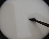 Foto langkah ke 5 dari resep Bubur Sumsum Biji Salak (Ubi Ungu).