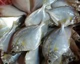 Foto langkah ke 1 dari resep Santan Lemak Ikan Kepetek Pedes.