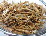 Foto langkah ke 2 dari resep Sambal Goreng Tempe Teri kacang.