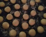 Foto langkah ke 3 dari resep Roti manis ekonomis,autolisis.