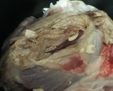 Foto del paso 1 de la receta: Pulpa de cerdo a la cacerola