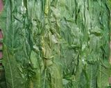 Foto langkah ke 6 dari resep Rollade Tahu Daun Singkong.