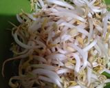 Foto langkah ke 1 dari resep Bakso Segar Ekstra Sayur.