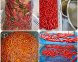 รูปขั้นตอนการทำที่ 1 ของ พริกแห้งหอมๆ สีสดๆ เก็บได้นาน 🌶