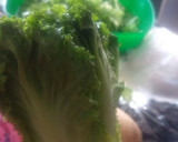 Foto del paso 1 de la receta: Salpicón Exótico de pollo