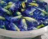 Foto langkah ke 1 dari resep Nasi gurih biru magic com (bunga telang).
