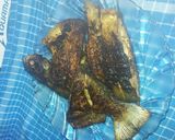 Foto langkah ke 5 dari resep Ikan Bakar Teflon.
