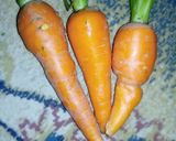 A picture of step 1 of Carrots and Ginger juice.