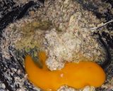 Foto del paso 2 de la receta: Hamburguesas De Pollo