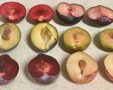 A picture of step 1 of Pear 🍐Sample plate.