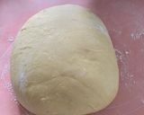 Foto langkah ke 7 dari resep Challah Loaf.