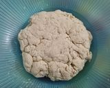 Foto del passaggio 1 della ricetta Pizza tipo Napoletana, pane casereccio con biga