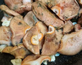 Foto del paso 2 de la receta: Revollones
