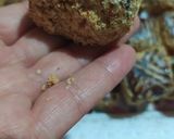 صورة لخطوة 11 من وصفة قاطو هايلة لقهوة العصر بنين وخفيف 😋