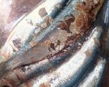 Foto del paso 1 de la receta: Sardinas al horno