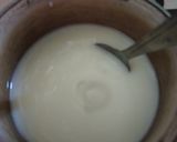 Foto langkah ke 1 dari resep Es Krim Jasjus Melon.