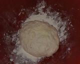 Foto del paso 2 de la receta: Dumplings de pollo caseros
