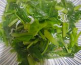 莧菜小魚的食譜步驟3照片
