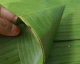 Foto langkah ke 6 dari resep 71. 🍃Lupis Segitiga.