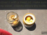 எலுமிச்சை அடை ஊறுகாய்(lemon pickle recipe in tamil)
