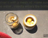 எலுமிச்சை அடை ஊறுகாய்(lemon pickle recipe in tamil) ரெசிபி ஸ்டேப் 2 புகைப்படம்