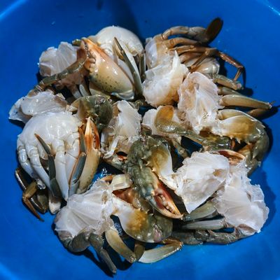 Langkah 1